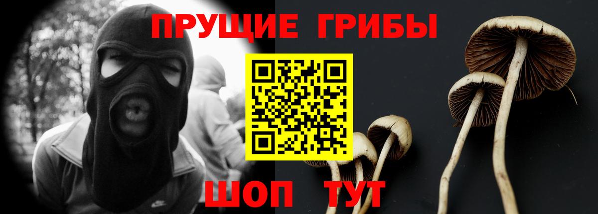 Псилоцибиновые грибы ЛСД Кувандык